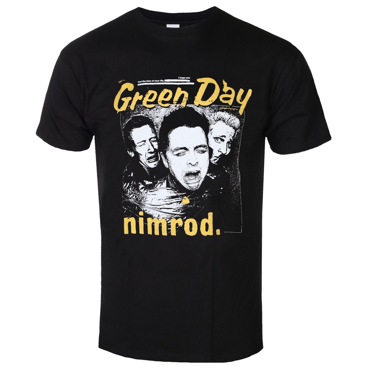 Green Day Distressed Faded Ban - Band Tee Faded 90S avaliação e preço